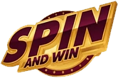 npspinandwin.com Logo